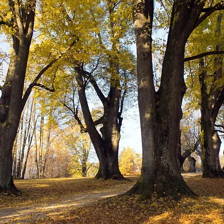 Karoli דירה ולדקירכן